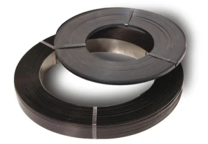 Taśma oporowa płaska 4,75mm - 5mb